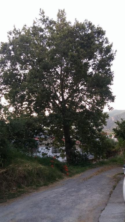 Studios Theodore Каламата Екстер'єр фото